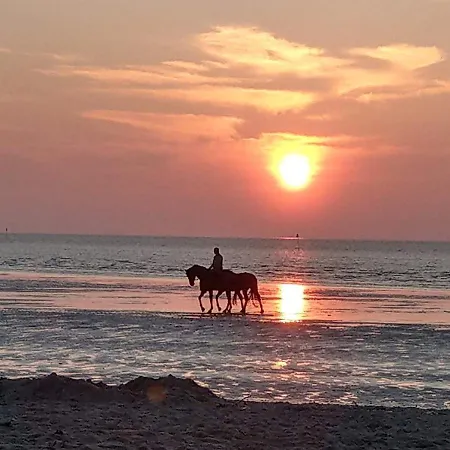 Tinyhouse Am Fluss キャンプ場 オッテルンドルフ